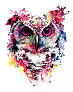 Watercolour splash owl cross stitch kit for beginners