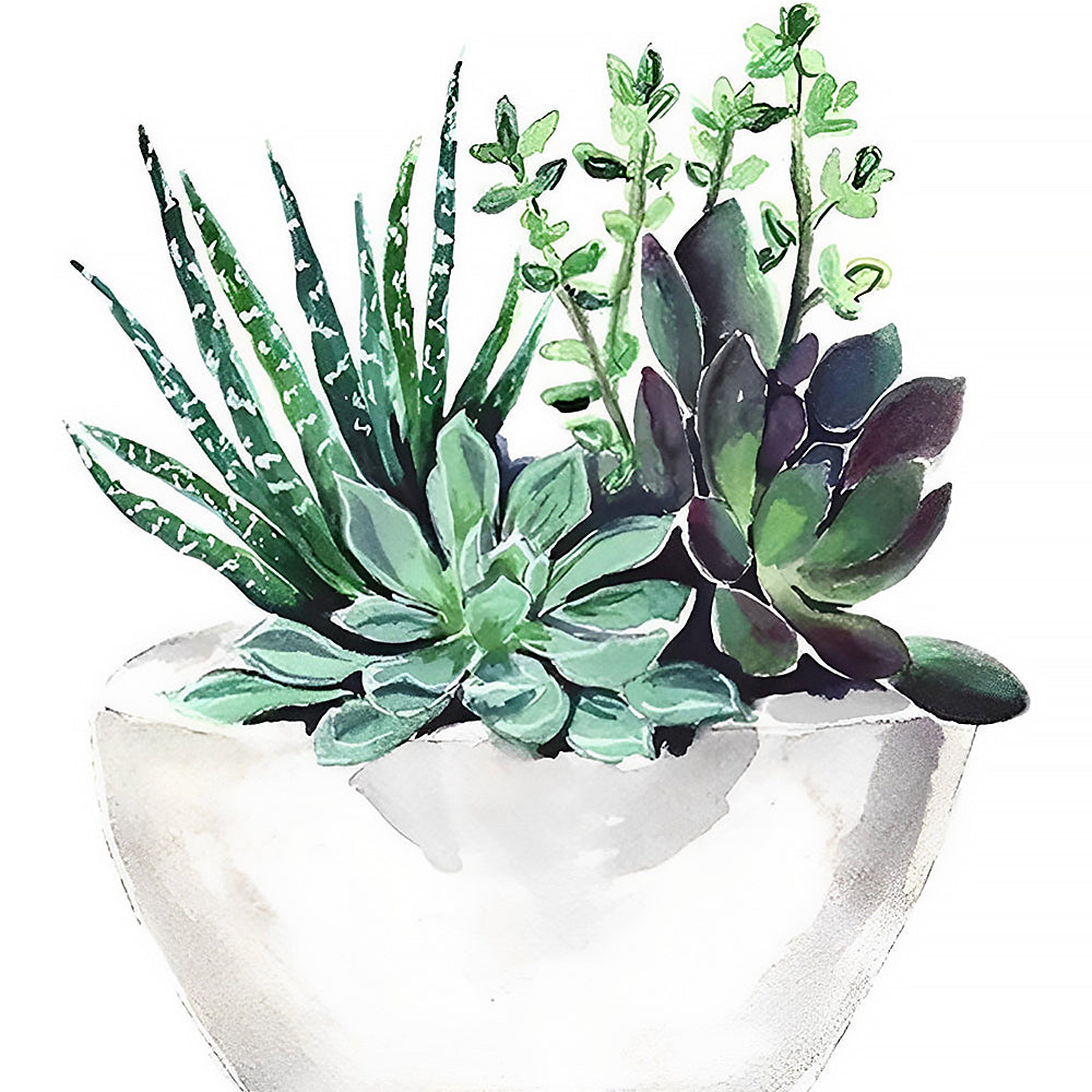 Watercolour succulent plants in a pot cross stitch kit for beginners