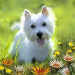 West highland terrier in a wildflower meadow cross stitch kit for beginners