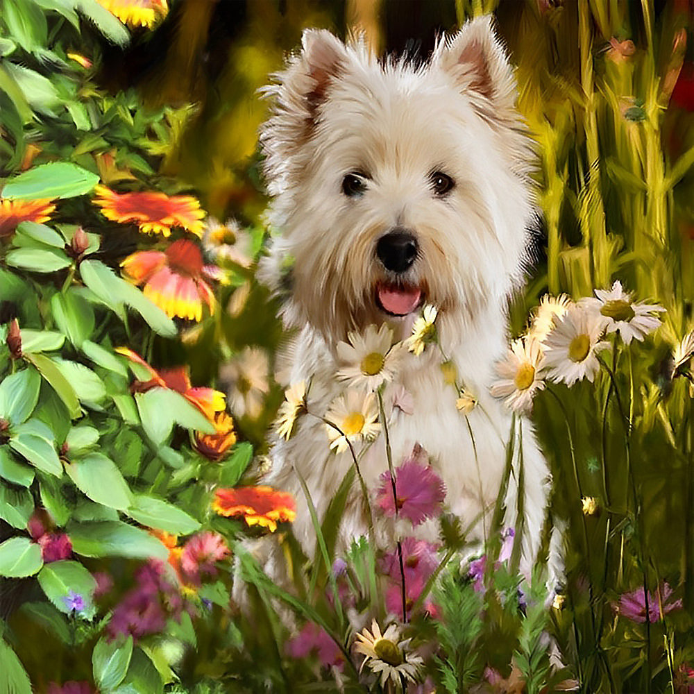 Westie dog in a wildflower garden cross stitch kit for beginners