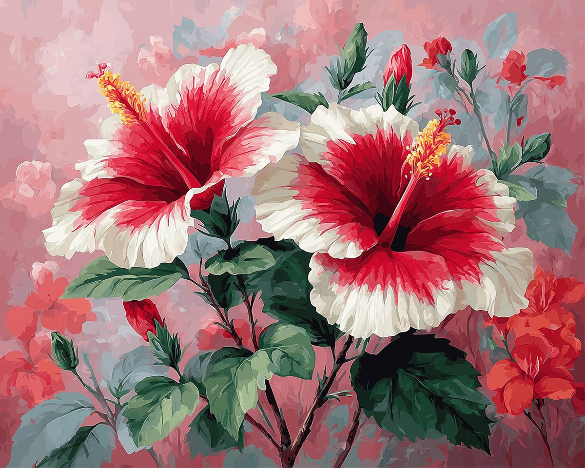White and red hibiscus paint by numbers kit for beginners