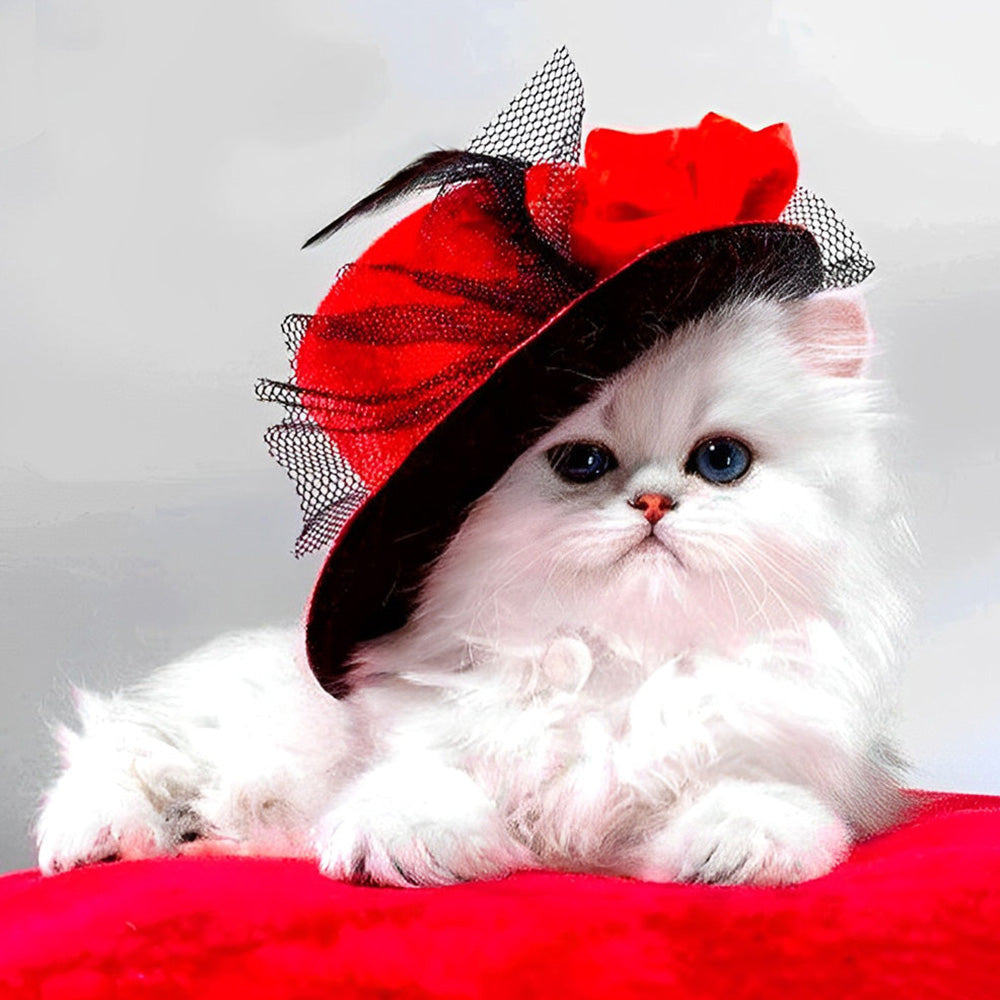White cat with red hat cross stitch kit for beginners