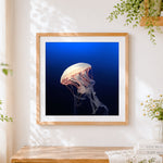Finished white jellyfish in deep blue sea cross stitch artwork displayed