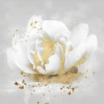 White rose with golden centre cross stitch kit for beginners
