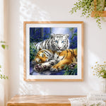 Finished white tiger and bengal tiger in bamboo forest cross stitch artwork displayed