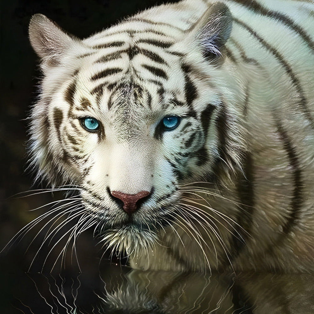 White tiger walking in water cross stitch kit for beginners