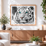 Finished white tiger with blue eyes cross stitch artwork displayed