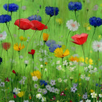 Wildflower meadow cross stitch kit for beginners