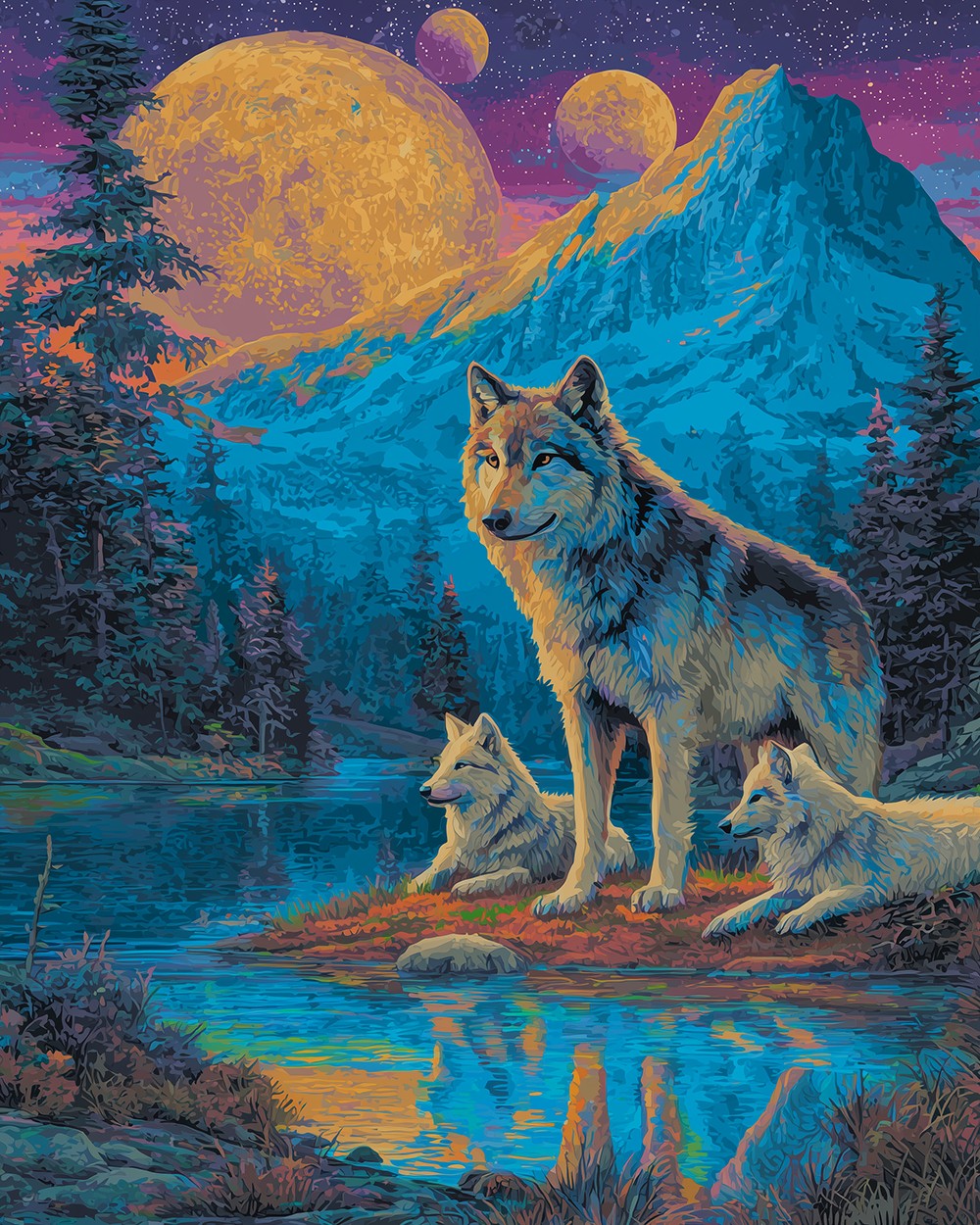 Wolf family under starry mountains paint by numbers kit for beginners