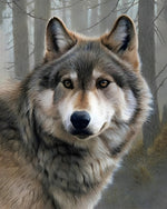 Wolf in misty forest cross stitch kit for beginners