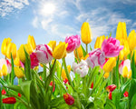 Yellow and pink tulips under blue sky cross stitch kit for beginners