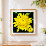 Finished yellow chrysanthemum with dew drops cross stitch artwork displayed