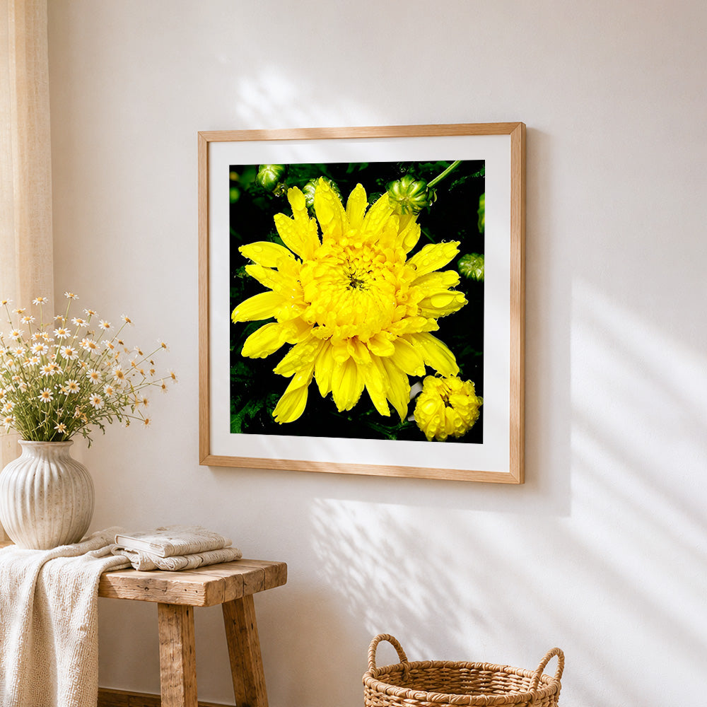 Yellow chrysanthemum with dew drops cross stitch artwork displayed on wall as home decor