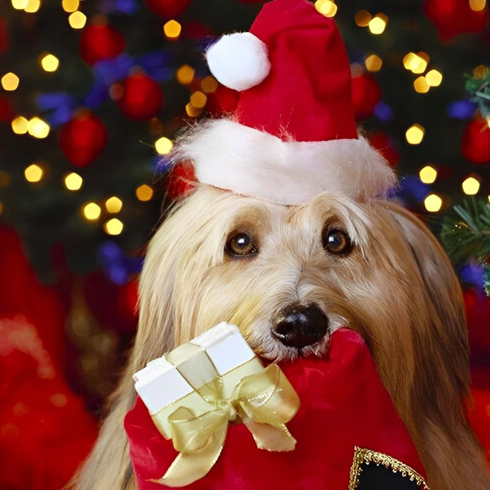 Yorkshire terrier with santa hat cross stitch kit for beginners