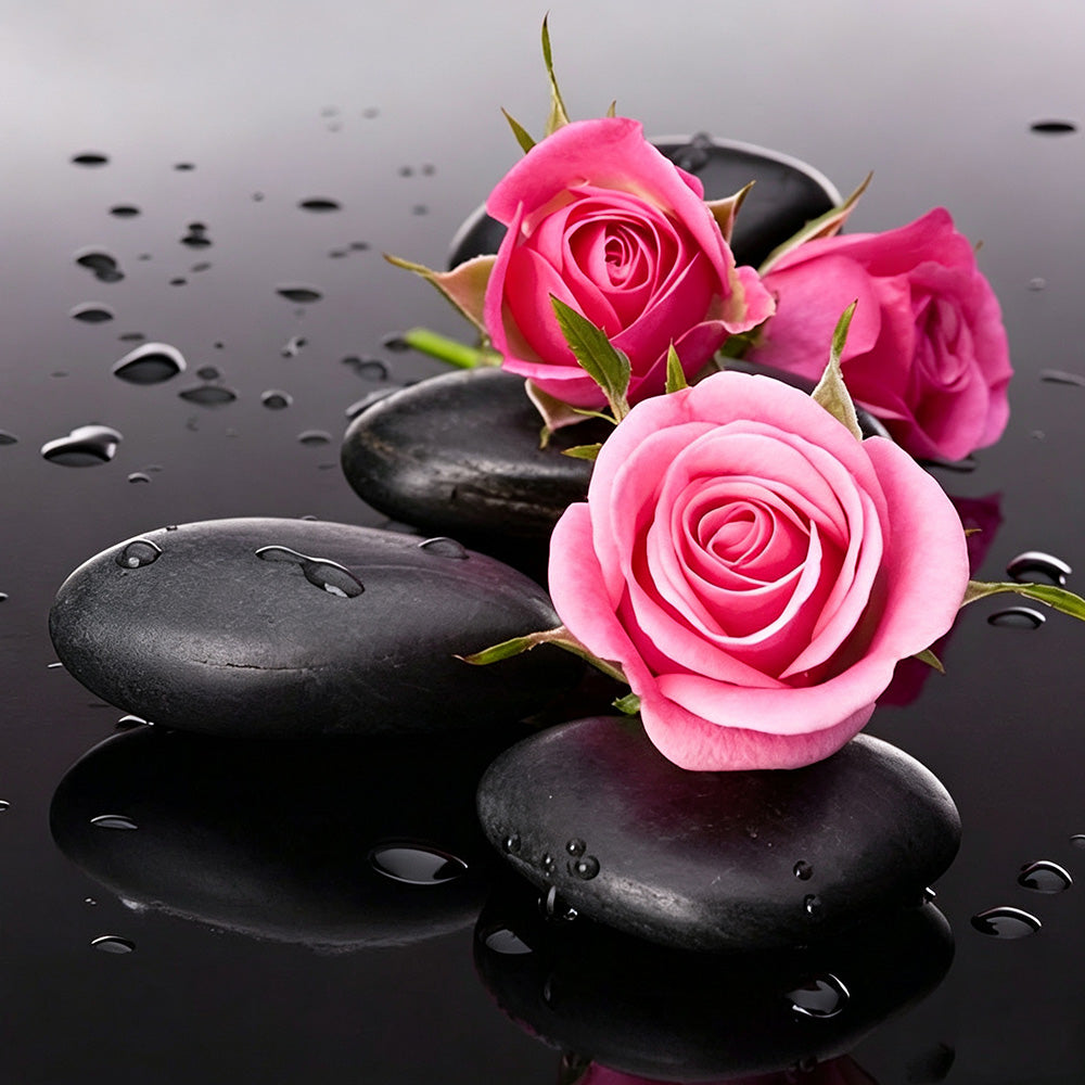 Zen black stones and pink roses paint by numbers kit for beginners